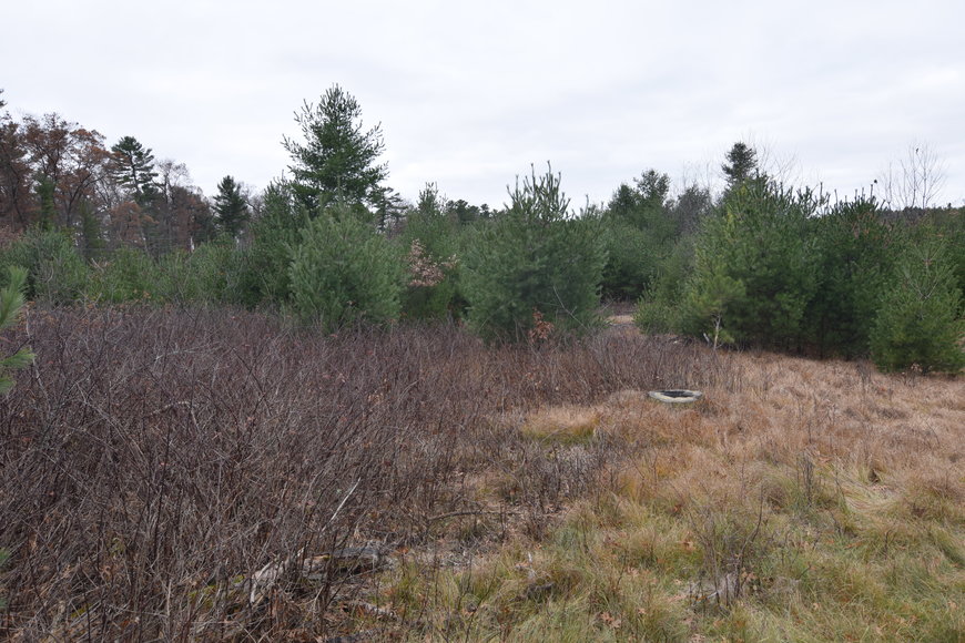 Image for Cloverleaf Lakes - Long Lake Lots