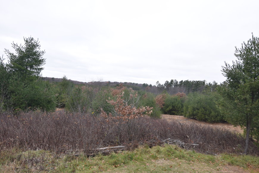 Image for Cloverleaf Lakes - Long Lake Lots