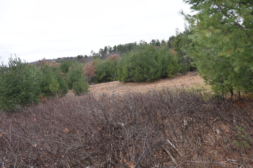 Image for Cloverleaf Lakes - Long Lake Lots