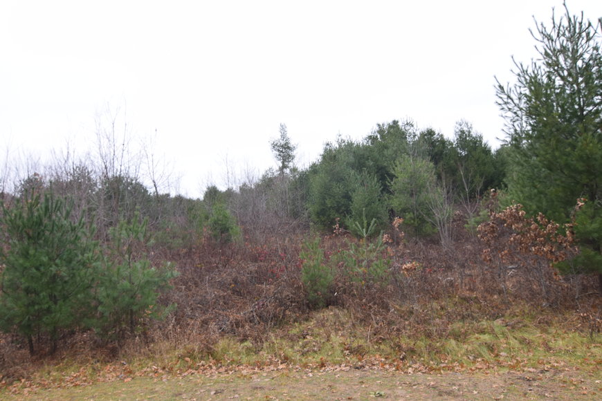 Image for Cloverleaf Lakes - Long Lake Lots