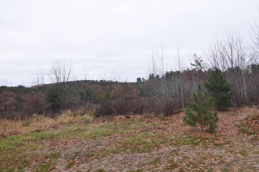 Image for Cloverleaf Lakes - Long Lake Lots