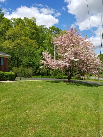 Image for 2929 Carroll Ave, Lynchburg, VA 24501