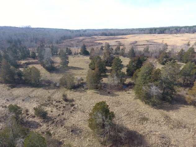 Image for Terrell Road,  Charlotte Court House, VA  23923