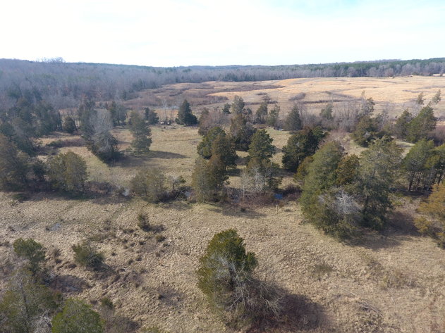 Image for Terrell Road,  Charlotte Court House, VA  23923