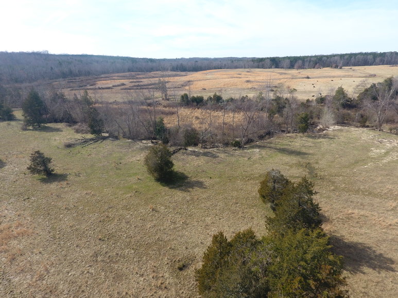 Image for Terrell Road,  Charlotte Court House, VA  23923