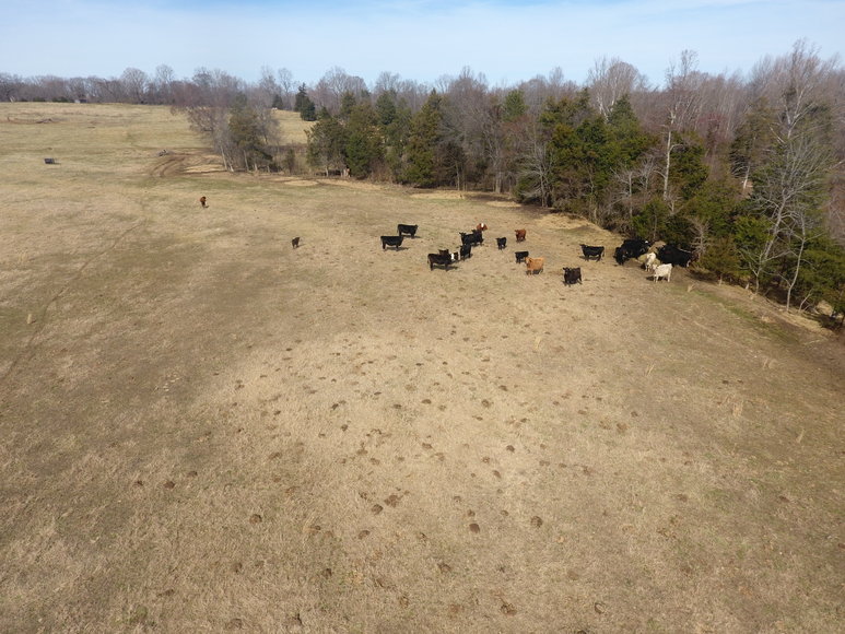 Image for Terrell Road,  Charlotte Court House, VA  23923