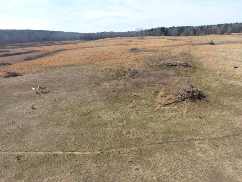 Image for Terrell Road,  Charlotte Court House, VA  23923