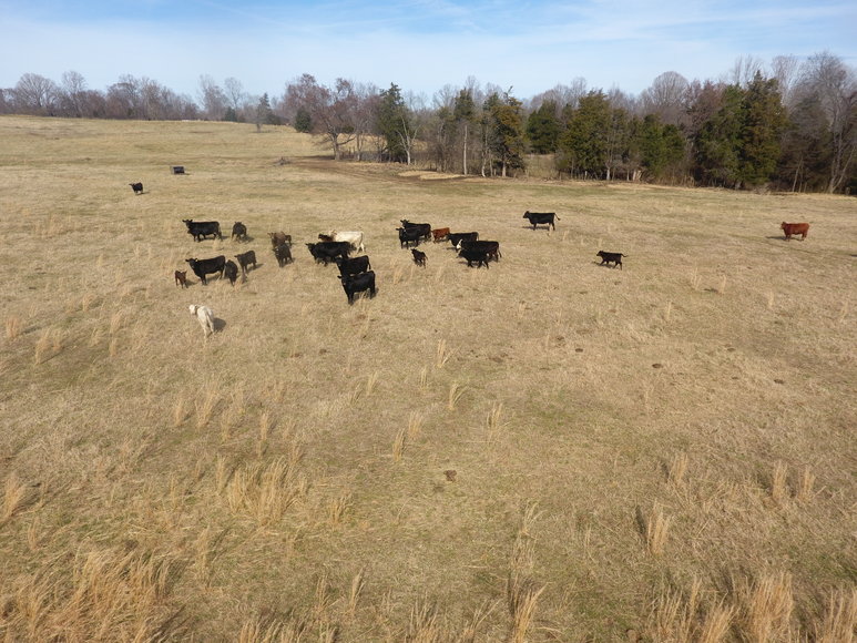 Image for Terrell Road,  Charlotte Court House, VA  23923
