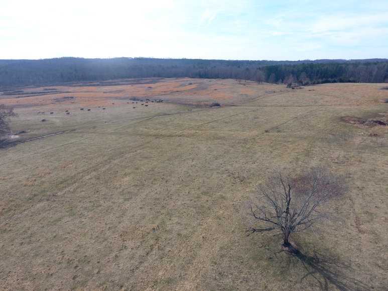 Image for Terrell Road,  Charlotte Court House, VA  23923