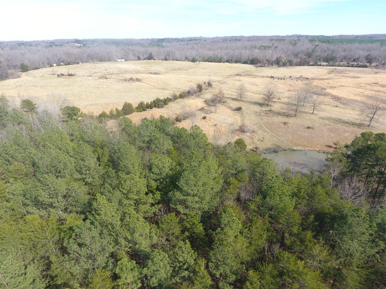 Image for Terrell Road,  Charlotte Court House, VA  23923