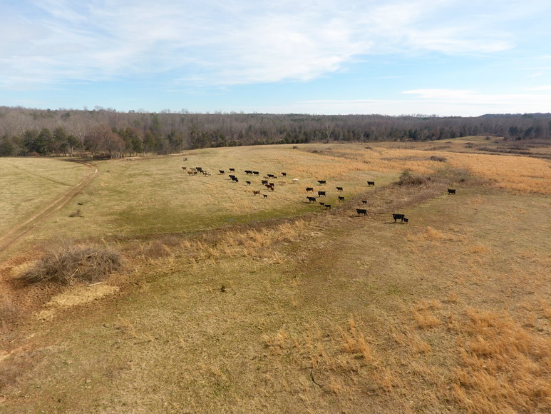 Image for Terrell Road,  Charlotte Court House, VA  23923