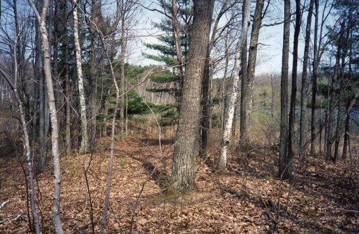 Image for ONLINE ONLY AUCTION Waterfront Lot  - 28836 Highway F Stone Lake, Wisconsin 54876