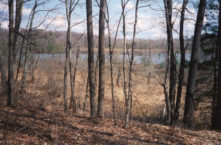 Image for ONLINE ONLY AUCTION Waterfront Lot  - 28836 Highway F Stone Lake, Wisconsin 54876