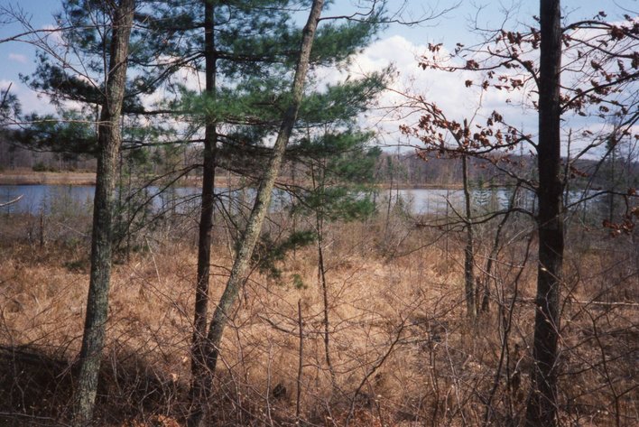 Image for ONLINE ONLY AUCTION Waterfront Lot  - 28836 Highway F Stone Lake, Wisconsin 54876