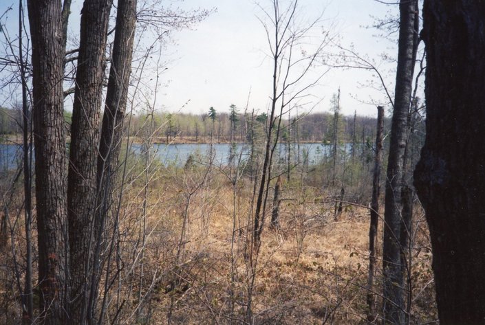 Image for ONLINE ONLY AUCTION Waterfront Lot  - 28836 Highway F Stone Lake, Wisconsin 54876