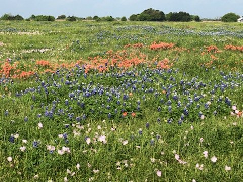 Image for 842 Frank Vacek Lane Schulenburg 78956, Fayette County