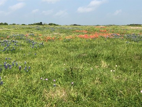 Image for 842 Frank Vacek Lane Schulenburg 78956, Fayette County