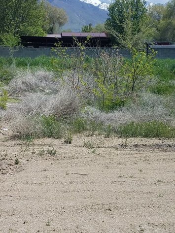 Image for SOLD!  #19-023 Utah Department of Transportation (UDOT)