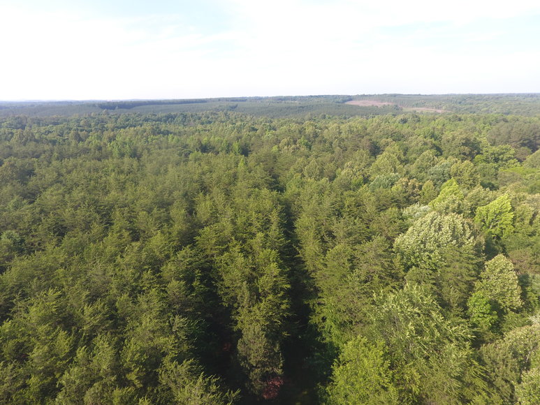 Image for 4148 Epsons Road, Gladys, Va 24554