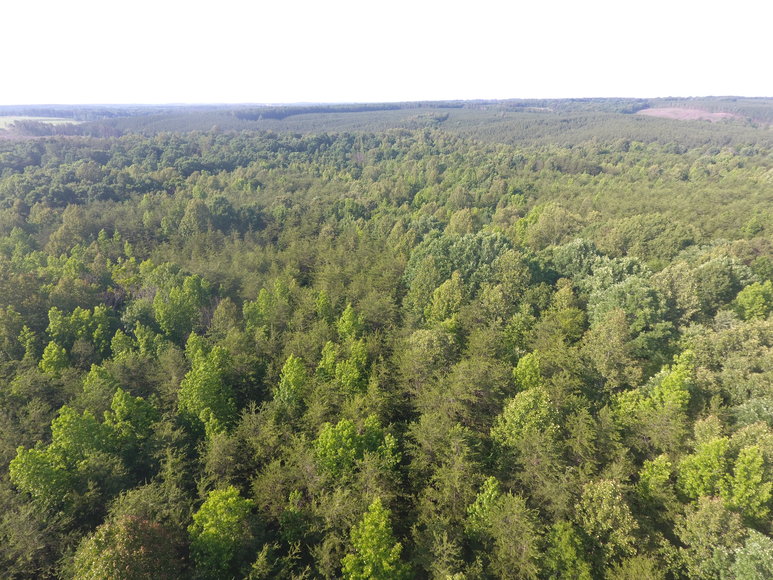 Image for 4148 Epsons Road, Gladys, Va 24554