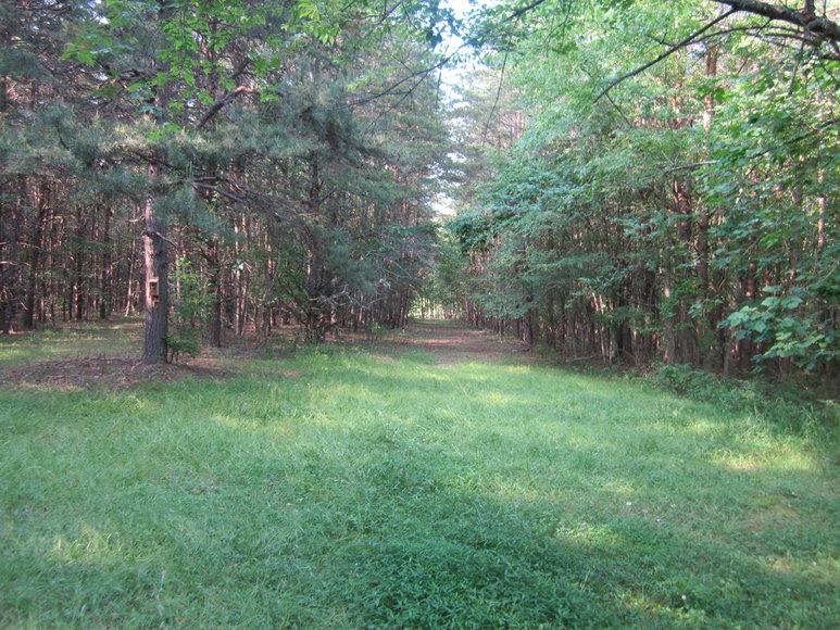 Image for 4148 Epsons Road, Gladys, Va 24554