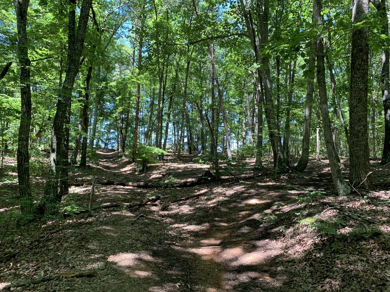 Image for 467 Bellview Road, Appomattox, Va 24522