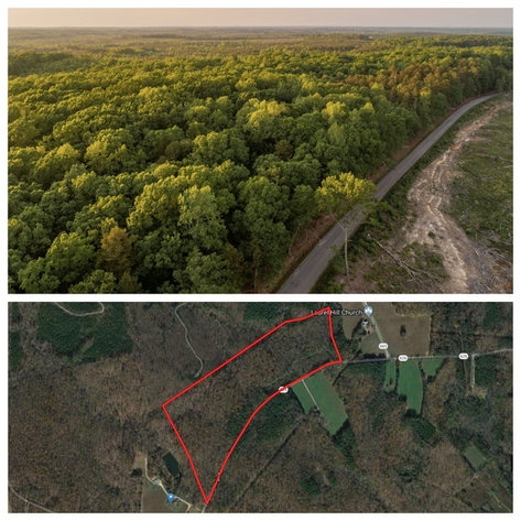 Image for 46.5 +/- Acres of Timber Land in Lunenburg County, VA