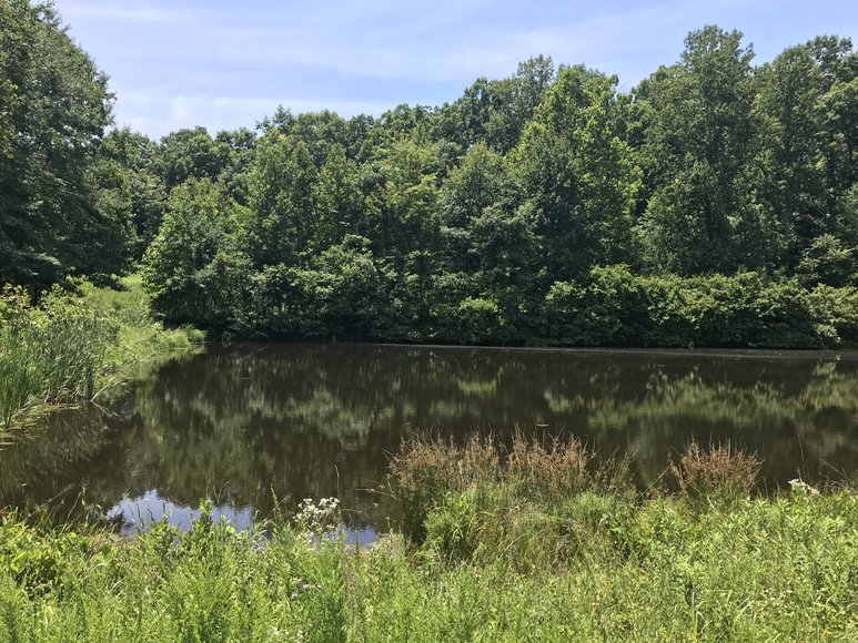 Image for 67.39 AC Sportsman's Paradise - 1034 Cherry Creek Rd., Halifax, VA 24577