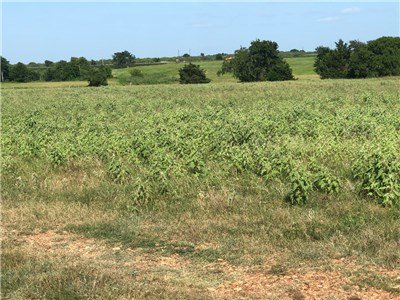 Image for 00 County Road 430 - Dime Box 77853, Lee County