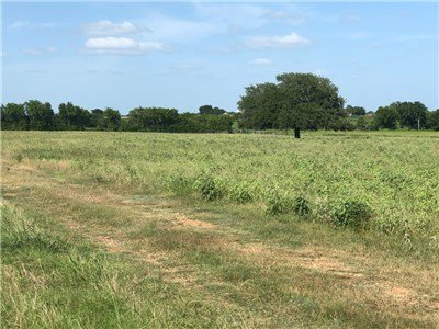 Image for 00 County Road 430 - Dime Box 77853, Lee County