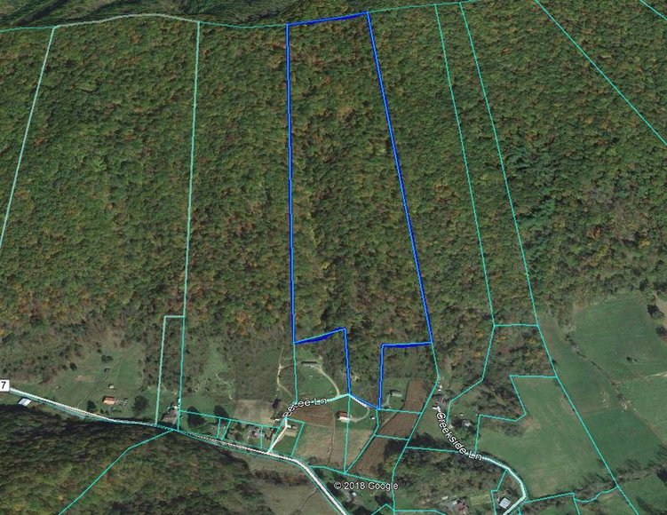 Image for 31 AC Vacant Land: Chilhowie, VA