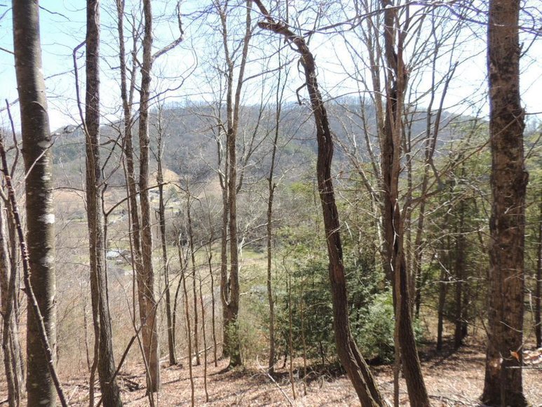 Image for 31 AC Vacant Land: Chilhowie, VA