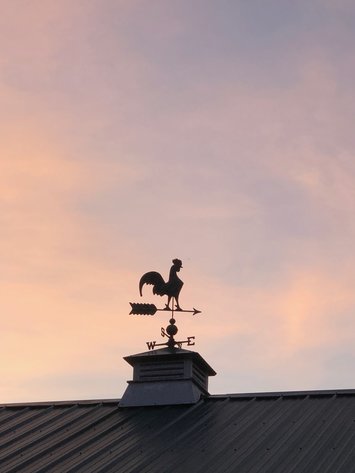 Image for Myers Estate in Eastern Davie County