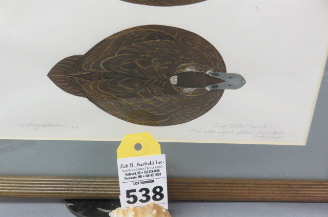 Image for Summer Sportsman's Timed Auction