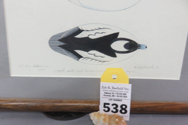 Image for Summer Sportsman's Timed Auction