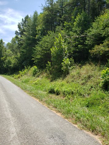 Image for Buffalo Mill Road