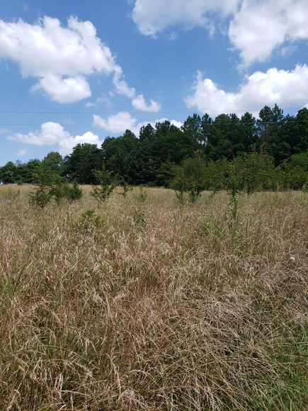 Image for 1098 Mclver Road