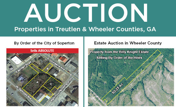 Image for August 28th - Treutlen & Wheeler Counties