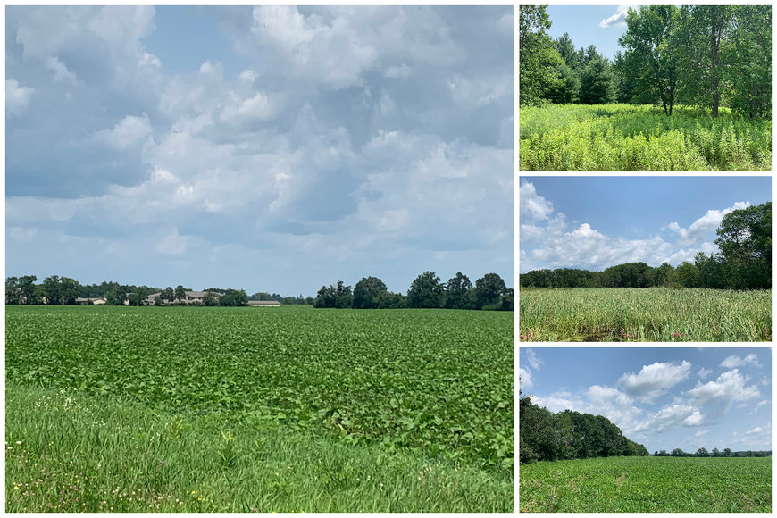 Image for Prime Ag & Commercial Real Estate (3 Lots) - Rice Lake, WI