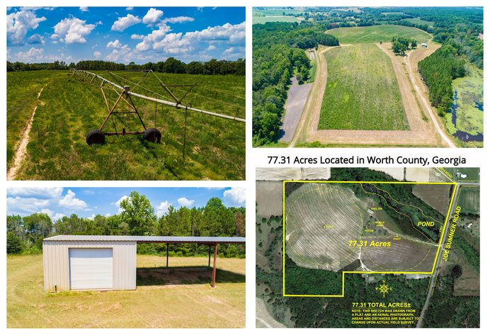 Image for Declared Absolute! 77.31 Acre Worth County Farm with Irrigation
