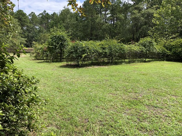 Image for September 14, 2019 - Effingham County