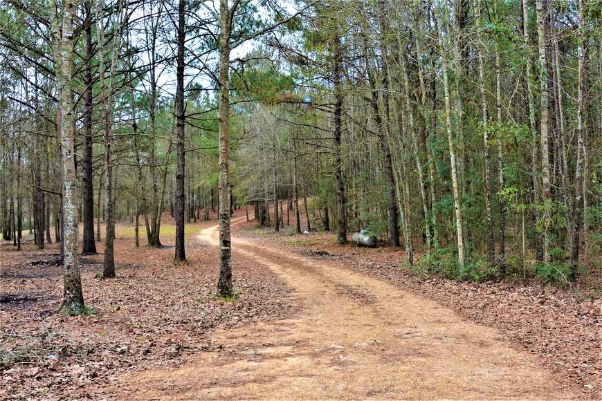 Image for SOLD!  Bankruptcy Auction! - Hunters Paradise! 151 Dykes Rd., Prentiss, MS