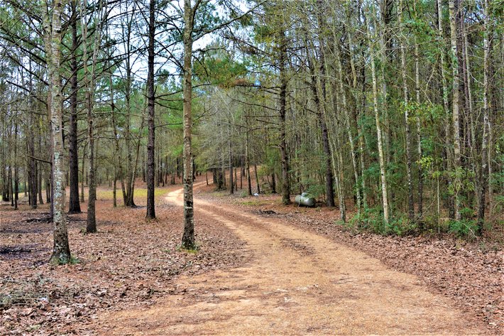 Image for SOLD!  Bankruptcy Auction! - Hunters Paradise! 151 Dykes Rd., Prentiss, MS