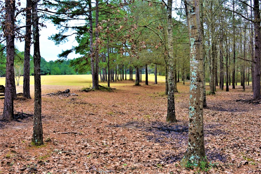 Image for SOLD!  Bankruptcy Auction! - Hunters Paradise! 151 Dykes Rd., Prentiss, MS