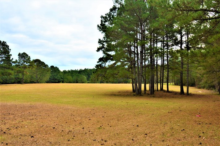 Image for SOLD!  Bankruptcy Auction! - Hunters Paradise! 151 Dykes Rd., Prentiss, MS