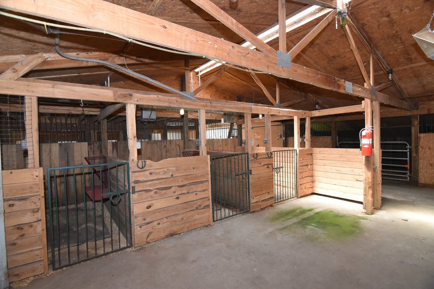 Image for GREEN BAY AREA EQUESTRIAN AUCTION