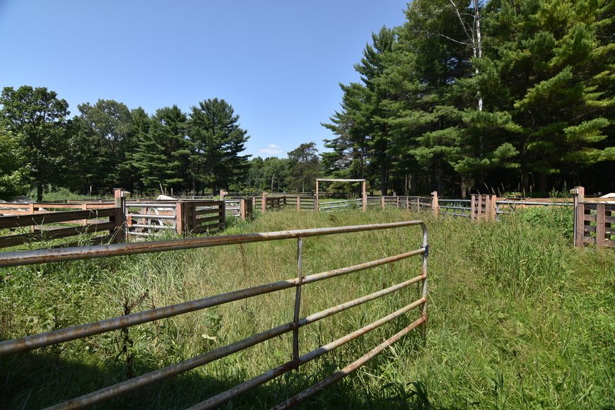 Image for GREEN BAY AREA EQUESTRIAN AUCTION