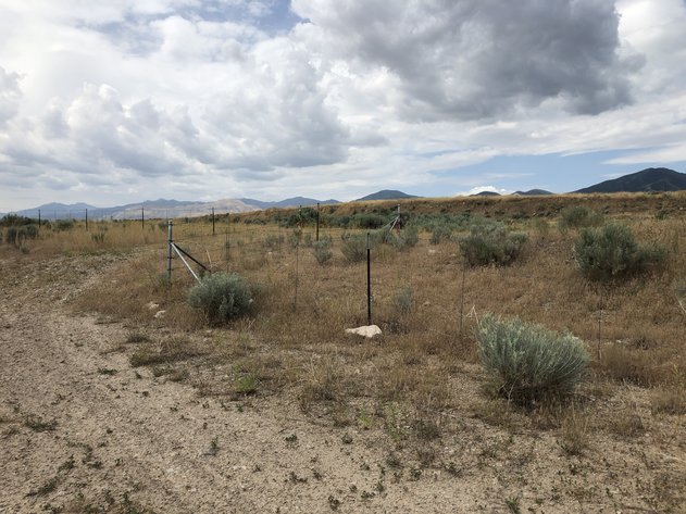 Image for #19-025 - Utah Department of Transportation (UDOT)