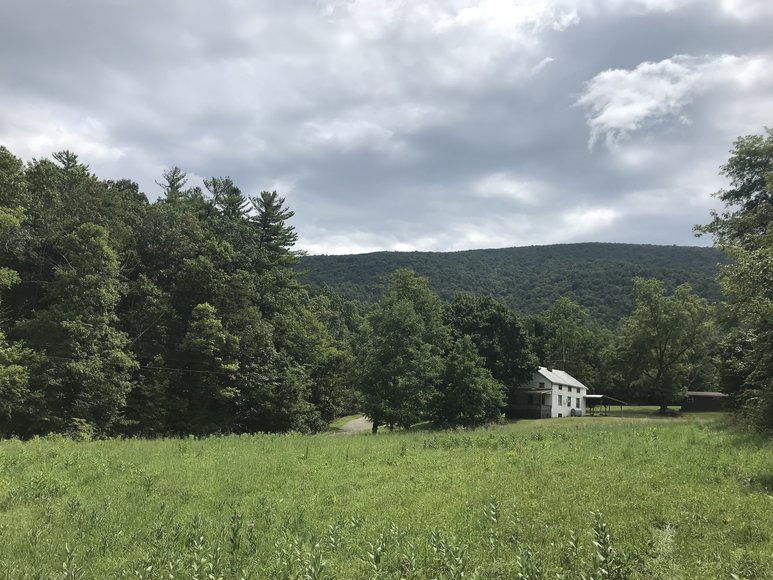 Image for Court Ordered Sale, Bridge Estate - 54.37+/- AC Near Wintergreen Ski Resort - 3604 Mt. Torrey Rd. Lyndhurst, VA 22952