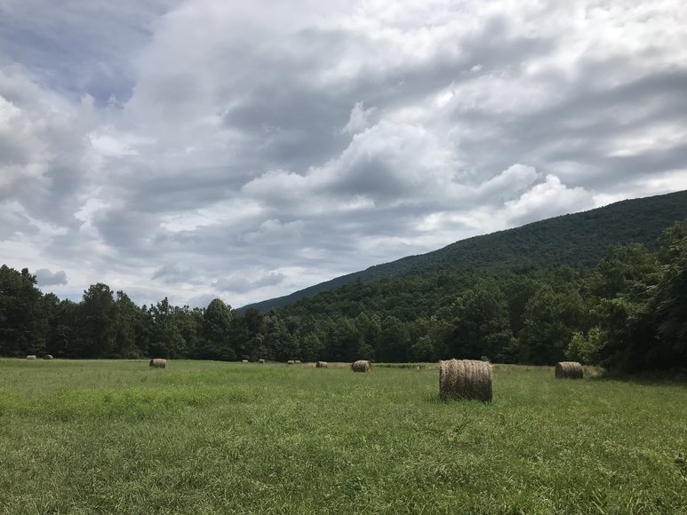 Image for Court Ordered Sale, Bridge Estate - 54.37+/- AC Near Wintergreen Ski Resort - 3604 Mt. Torrey Rd. Lyndhurst, VA 22952